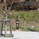 비슬산둘레길 8구간 이미지