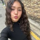 미미 이미지