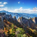 삼성은 왜 위기를 맞이했고 현대는 어떻게 기회를 열었는가? | 1.1 총균쇠 vs 산전민