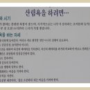 도음산 산림문화수련장 이미지