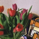 구르미맘마 이미지