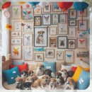 제천동물보호센터 이미지