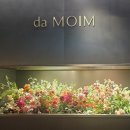 모임다모임