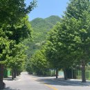 퍼시먼관광호텔 이미지