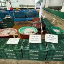 방포수산회타운 이미지