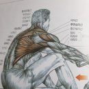 헬스로운짐 이미지