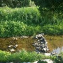 선화농장 이미지