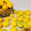 민우네농장 이미지