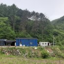 꿀참나무태양광발전소 | KIMS창업제안: 북유럽풍 1.6만평 낙엽송 숲 부담없이 빌려드립니다 | 괴산군 산림창업 파트너 모집