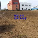 제주성산공인중개사사무소 이미지