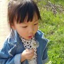 마망엘리펀트 이미지