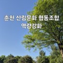 더숲협동조합