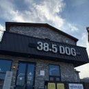 38.5DOG | 청주 38.5도그 5박 6일 호텔링 후기, 내돈내산 💸