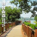 횡성꽃사랑 | 알고 보니 횡성 숨은 산책 명소! 강원 횡성호수길 5구간 걸어봤어요