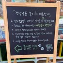 [동탄 애견용품점] 견생냥품 카림상가점 후기/무인 애견용품