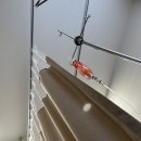 삼성포근한내과의원 이미지