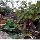 서구-02-32 이미지