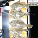 써니의 펜션 스토리 이미지