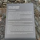 진주 동산리 동안 이미지