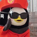 칭구라이브
