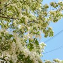 북동중학교 이미지