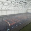 가평 메이드 독채 온수 수영장 펜션 이미지