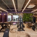 짐앤골프 이미지