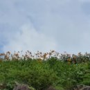 명석농장 이미지