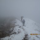 고개랑산채랑 이미지