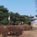 수원-1816 이미지