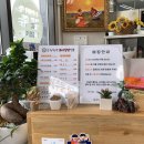 강남 햅쌀만 꼬마김밥 이미지