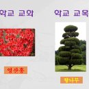 장재초등학교 이미지