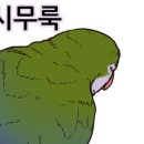 케나인동물병원 이미지