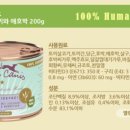 테라피쉬