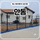 H2400 | 안동휀스 펜스 - “테니스장 휀스 없었다면 상상도 못 했을 모습”