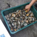 연안카센타 이미지