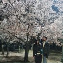 까사델 경주 | [경주 가볼만한곳]동궁과월지/낮보단 밤이 아름다운 구안압지