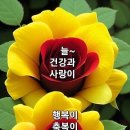 25년 스페너님들 노고에 박수를 보냅니다 이미지