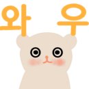 동갈보대 이미지