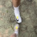 2026 영덕해변전국마라톤대회 10km 완주 후기