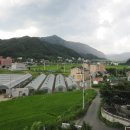 스팅 펜션 이미지