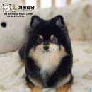 개성있냥