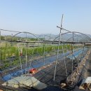 은혜농장 이미지