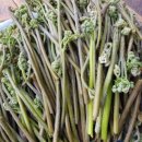 달성보약산민박 이미지