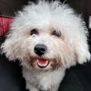 성정초등학교 이미지