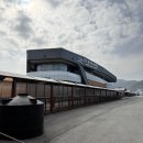 낙원로 | 8kg 반려견과 함께한 4박5일 제주도 여행기 1편