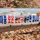 울진시장2 이미지