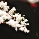 솔솔농장 이미지