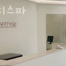 아르티지스파 이미지