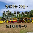 2026년10월25일(일)13시부터~ 중앙 정기 모임(중앙부회장 취임식)에 사랑하는 회원님들을 오류동 청사콜라텍으로 초대합니다. 이미지